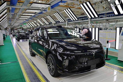 嵐圖汽車雙工廠火力全開，單日產能突破800輛，加速布局汽車市場
